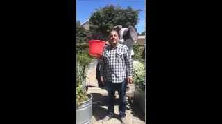Annie's ACCEPTS: ALS Ice Bucket Challenge!