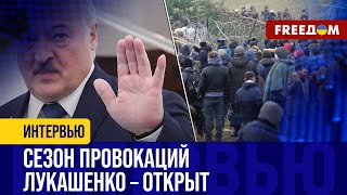 Мигранты ШТУРМУЮТ границу с Польшей: Кремль – ЗАКАЗЧИК, Лукашенко – ИСПОЛНИТЕЛЬ