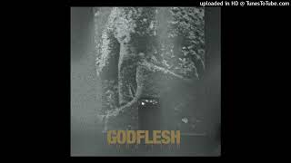Godflesh — Don&#39;t Bring Me Flowers (Live)