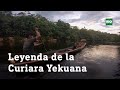 Leyenda de la curiara yekuana - Ye'kwana Kudiyada Watuna