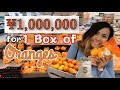 JAPANESE FRUIT. Would you pay 1 million yen for a box of oranges? Colab with Fidel Montoya.
