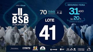 41 - LEILÃO VIRTUAL GENÉTICA TOUROS BSB AGROPECUÁRIA 31/08/2026