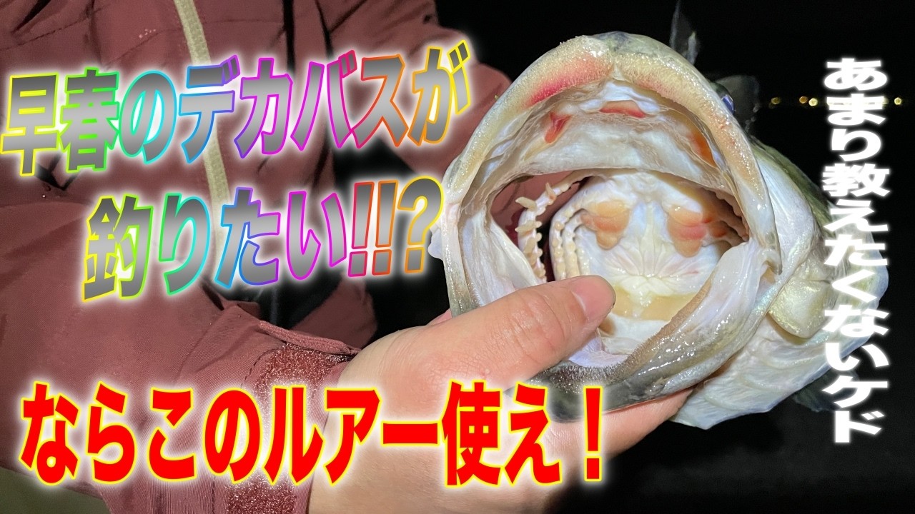実は教えたくない！まさにこれからデカバスが釣れるルアーと細かな工夫を公開します。
