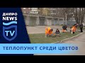 В Днепре возле котельных садят деревья и цветы