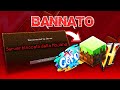 Minecraft Sta Chiudendo Tutti i Server...