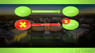 Risk Rating IT Applications and Infrastructure