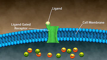 Types of Drug Receptors