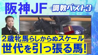 「体幹がしっかりしている」アランカール、マーゴットラヴミー、アルバンヌ・・・競馬エイト・高橋賢司トラックマンの調教解説＜阪神ジュベナイルフィリーズ(ＧⅠ)＞
