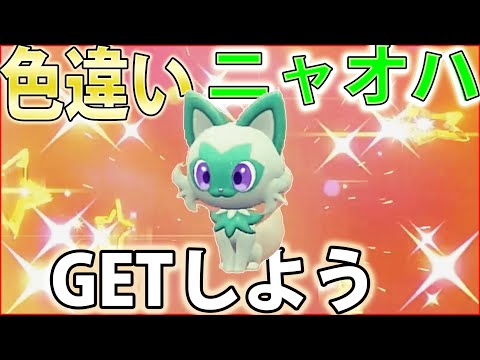 【実践】色違いニャオハの入手方法を解説！マスカーニャ色違いも【ポケモンSV】