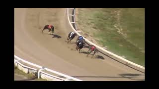 @hitthelidsracing Mateo TR1 WINS 270M TOWCESTER 01/05/26