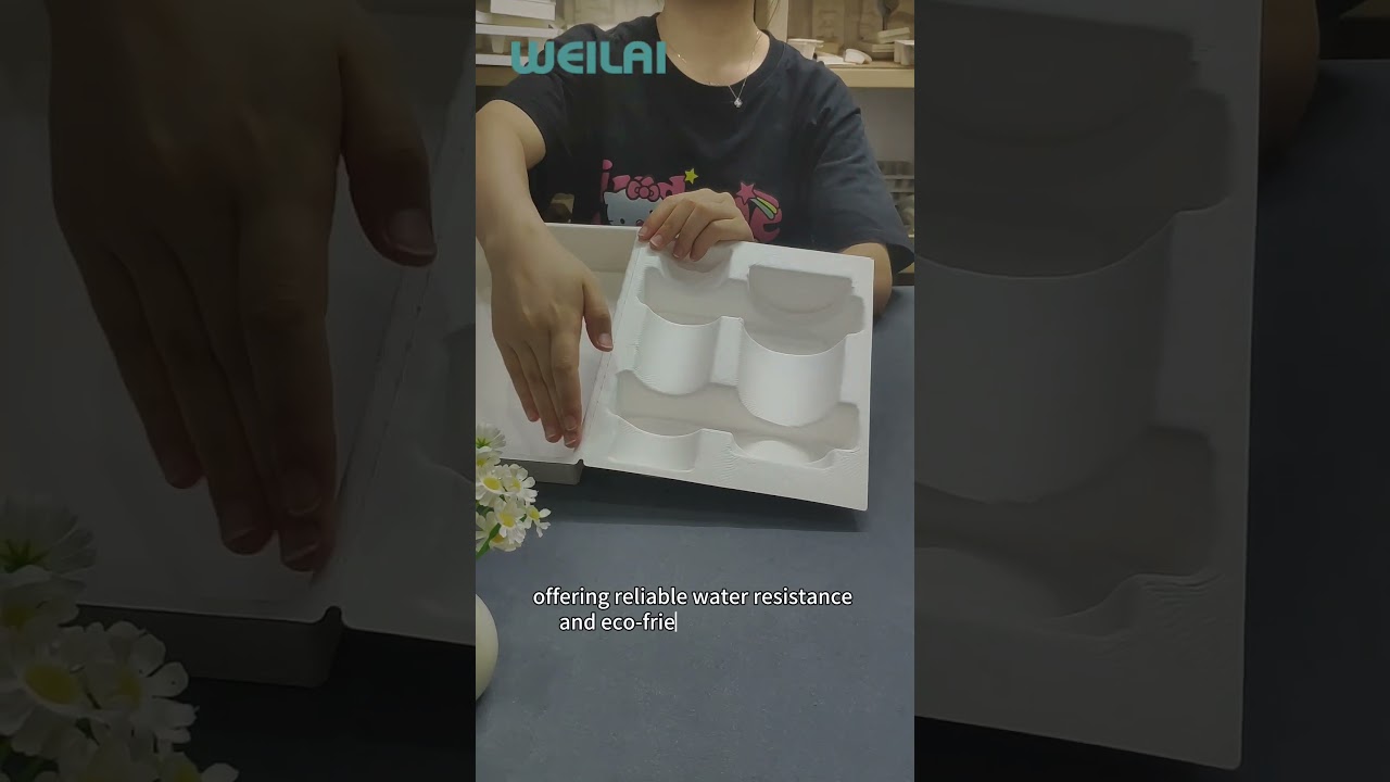 White Wet-Pressed Molded Pulp Box for Tumblers – Precision Meets Sustainability 