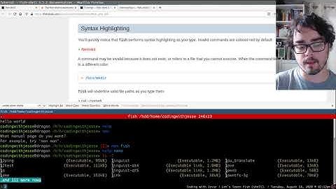 Switching from bash to fish shell