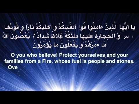 www.camelfoundation.org