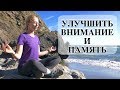 Как развить память и внимание | Как научиться медитировать