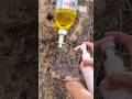 Survival Skills: SIMPLE And USEFUL save SOAP and Water in forest #survival #outdoors #camping