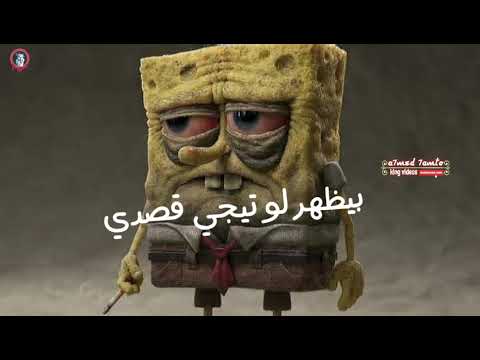 حاله واتس الطيخا مهرجان لسه منزلش 2021