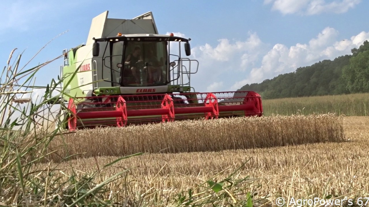 Moisson de Blé 2017 en Claas Lexion 650 | ETA Richert