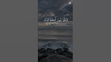 تلاوه خاشعه للشيخ سيد سعيد رحمه الله من سوره يوسف #قران_كريم #اكسبلور #المصحف