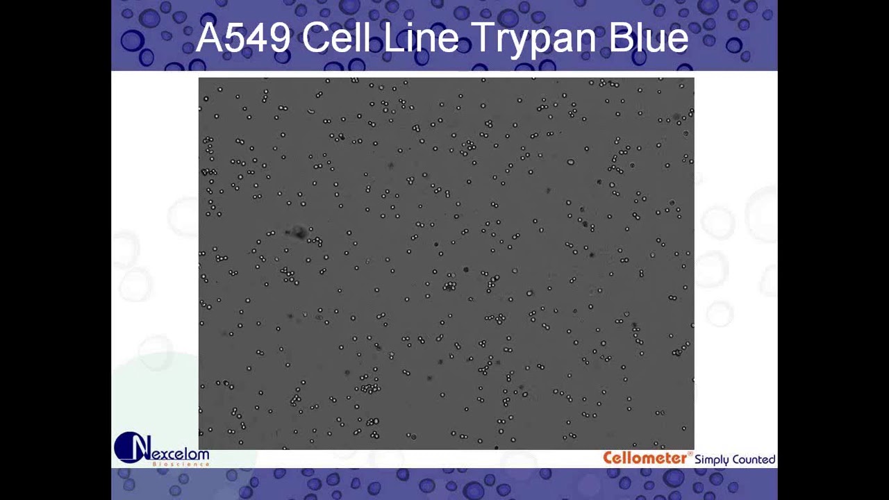 Performing the Trypan Blue Viability Assay using Automated Cell Counting (Nexcelom Bioscience)