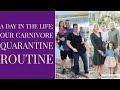 A Day in the Life: Our Carnivore Family.