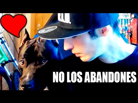 makiman131 yt MENSAJE ESPECIAL NAVIDAD