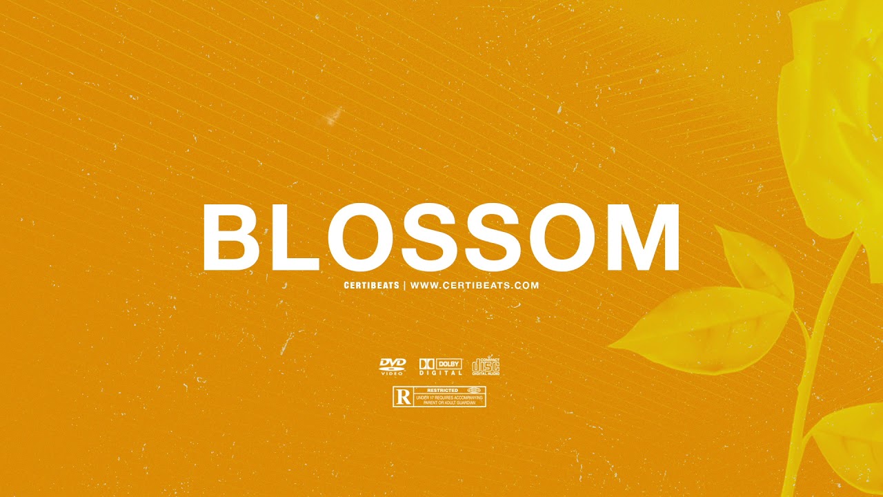 Download (FREE) | "Blossom" | Swae Lee x Popcaan x Drake Type Beat Free Beat Dancehall Pop Instrumental 2019