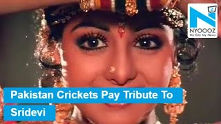 Stan Cricketers Mourn Sridevis Death Nyoooz Tv