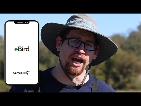 Thumbnail for the eBird demo video
