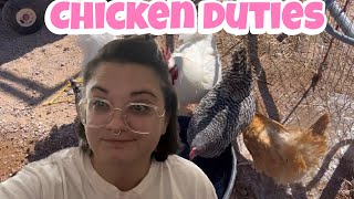 Chicken duties || Zulunation Family