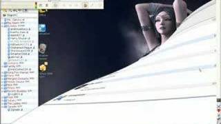 SuSE Linux Gnome Beryl Demo