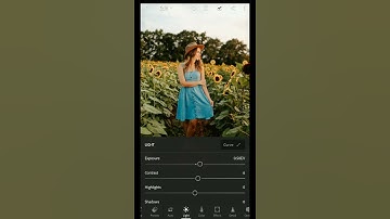 Lightroom Mobile Moody Tone Photo Editing Tutorial||Art picture||PicsArt||Snapseed #shorts
