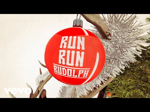 坂田知美DVD「Run Run with you」 Koe Wetzel - Run Run