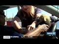 LDH confirms rabies in Acadiana dog