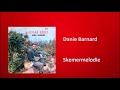 Danie barnard  skemermelodie