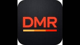 Como configurar VOX DMR screenshot 4