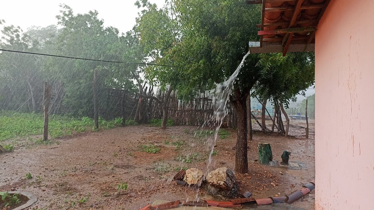 Chuva no sertão 🙏🌧️8 de Março de 2026