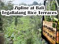 Bali Tegallalang Zipline
