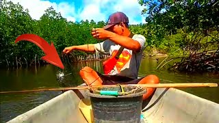 Hunting for crabs in the mangrove spots of Jampea Island