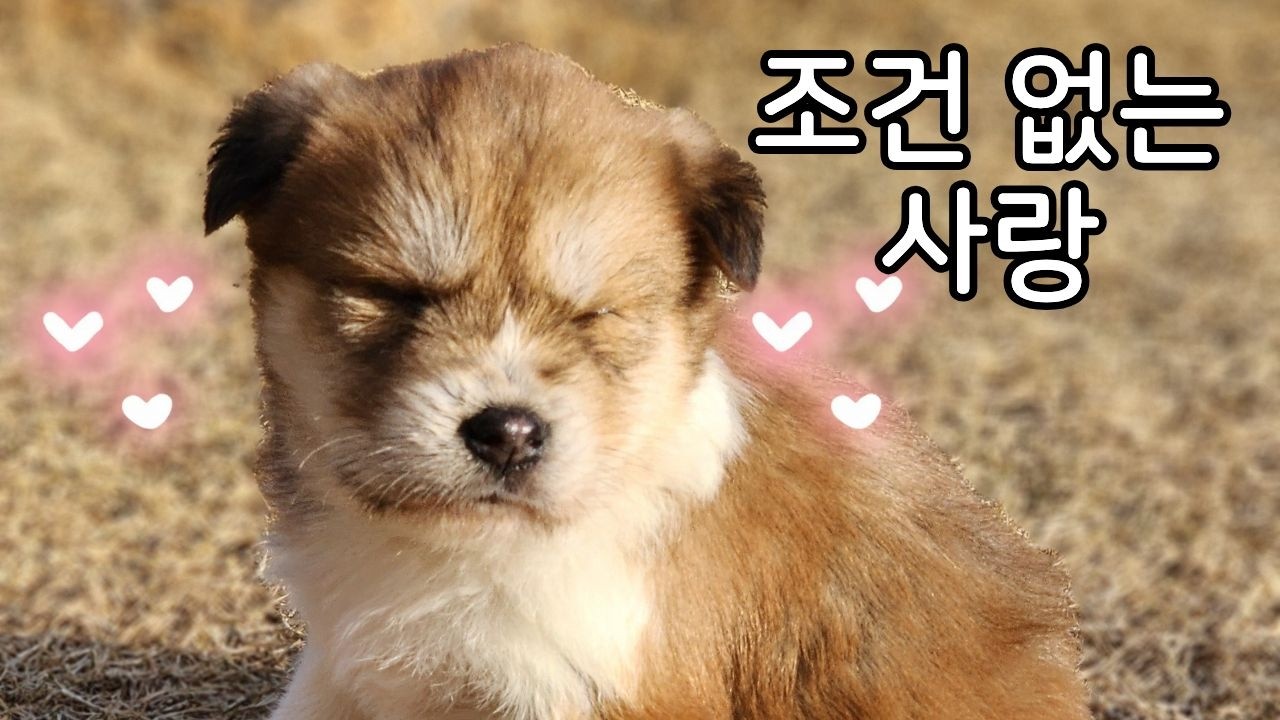 자비롭게 살게 된 뜨리