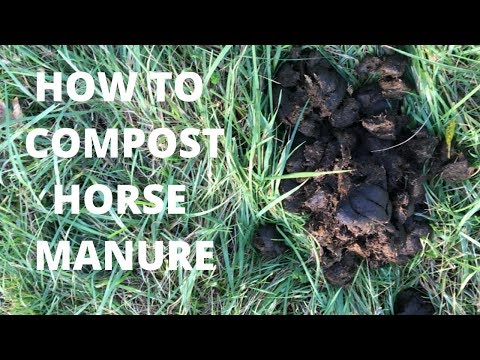 How to Compost Horse Manure