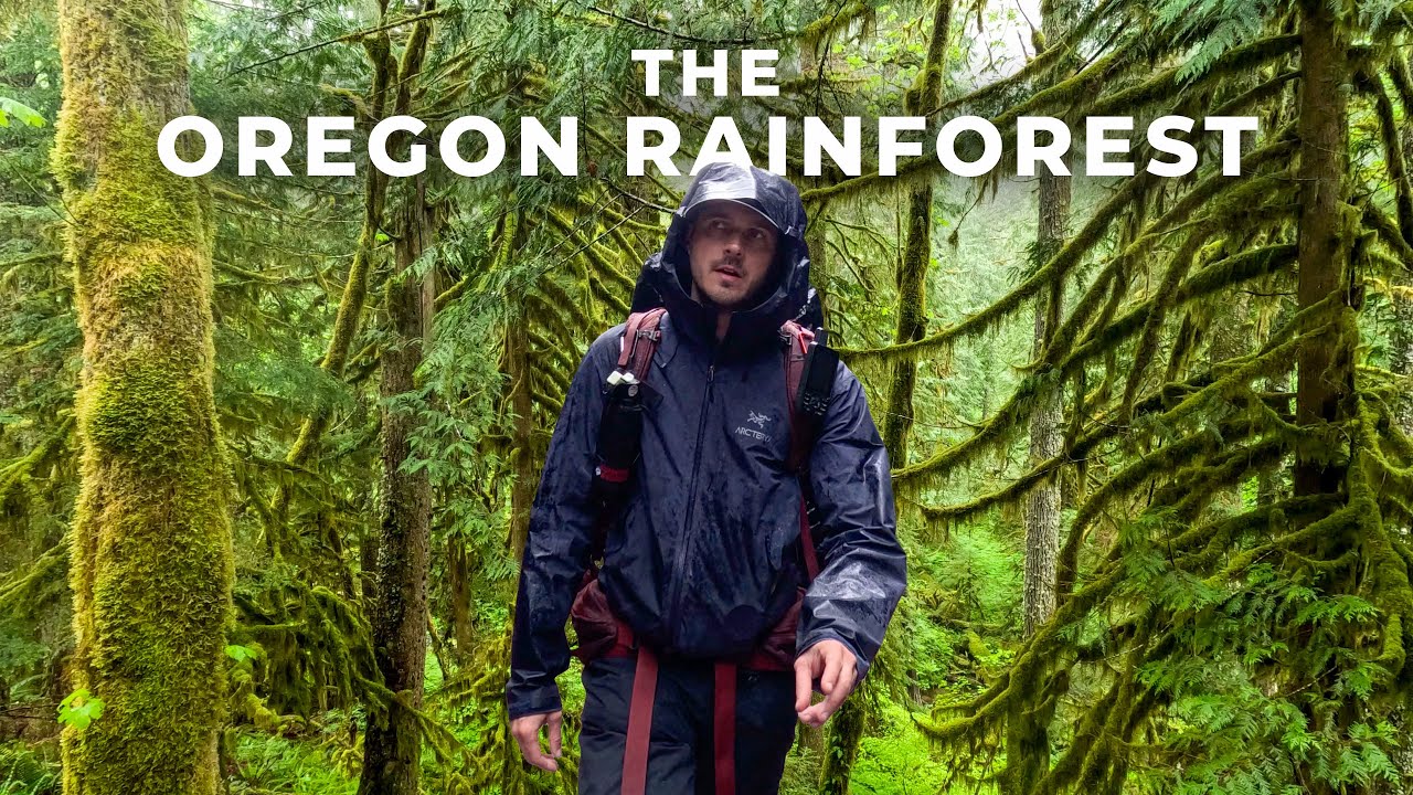 Solo Backpacking Mount Hood National Forest | Salmon River Trail, Oregon