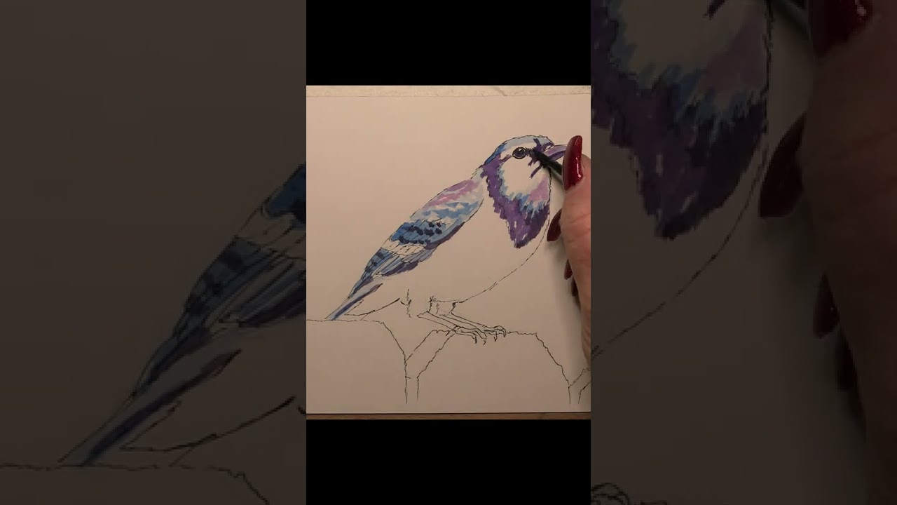 pen and watercolour blue jay