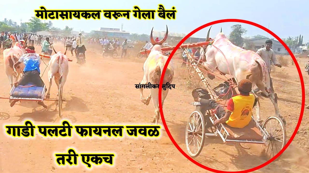 यड्राव जनरल | घोड्यागत उडी मारली बैलाने | 1 कुकटोळी लाल्या 2 जंगम साहेब 3 आरग जर्सी - टोपकर बैज्या