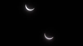 PARTIAL SOLAR ECLIPSE April 8. 2024. (Springfield MA)