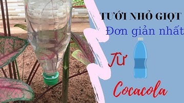 Cách làm tưới tưới nhỏ giọt đơn giản nhất từ chai nhựa/T3 garden