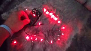 Red 3-Function 18-LED Ultra-Slim Wire Light Set doing its designated job
