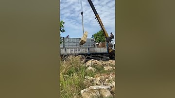 Đá cổ thạch làm non bộ sân vườn bãi tại tân uyên bình dương