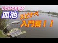 【初心者必見】ハードベイト入門「皿池」 スピナベ編！！