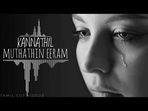 kannathil-muthathin-eeram-status-video