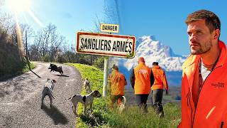 UNE CHASSE AUX SANGLIERS SENSATIONELLE, AVEC DES CHANTEURS GASCONS,  battue aux sangliers 2026